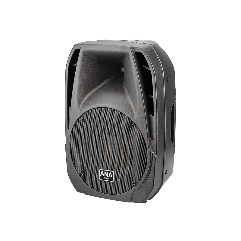 Ahuja 125W PA Speakers XPA-1510DP